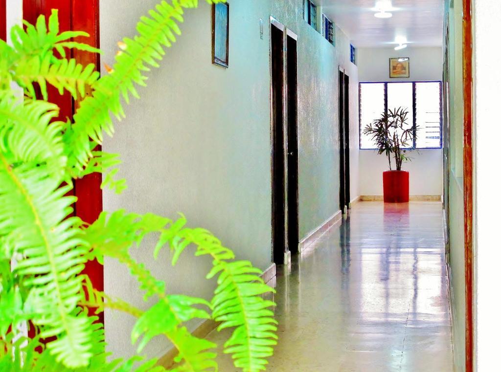 Hotel Acuario Catemaco Luaran gambar