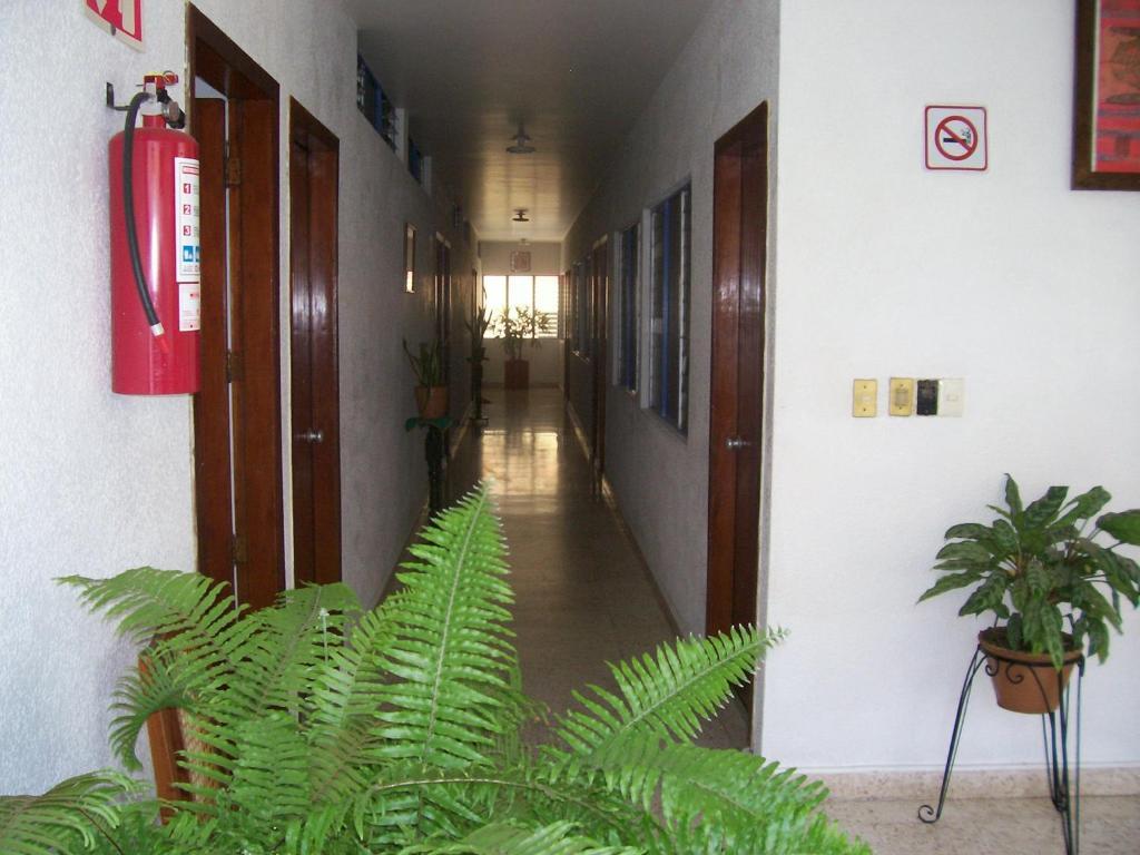 Hotel Acuario Catemaco Luaran gambar
